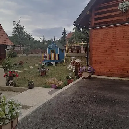 Vakantiehuis Brvnara Dad Nikolic